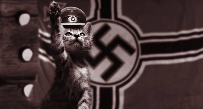 La Tercera Guerra Mundial y los videos de gatitos
