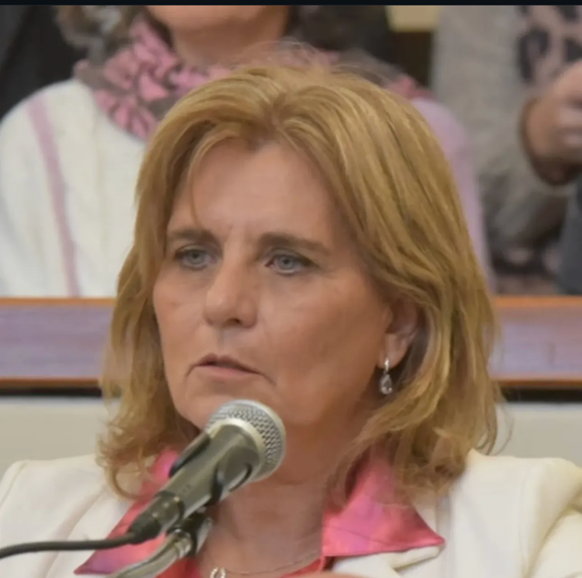 Nuevo proyecto de ley de la Senadora Carlota Carballo.