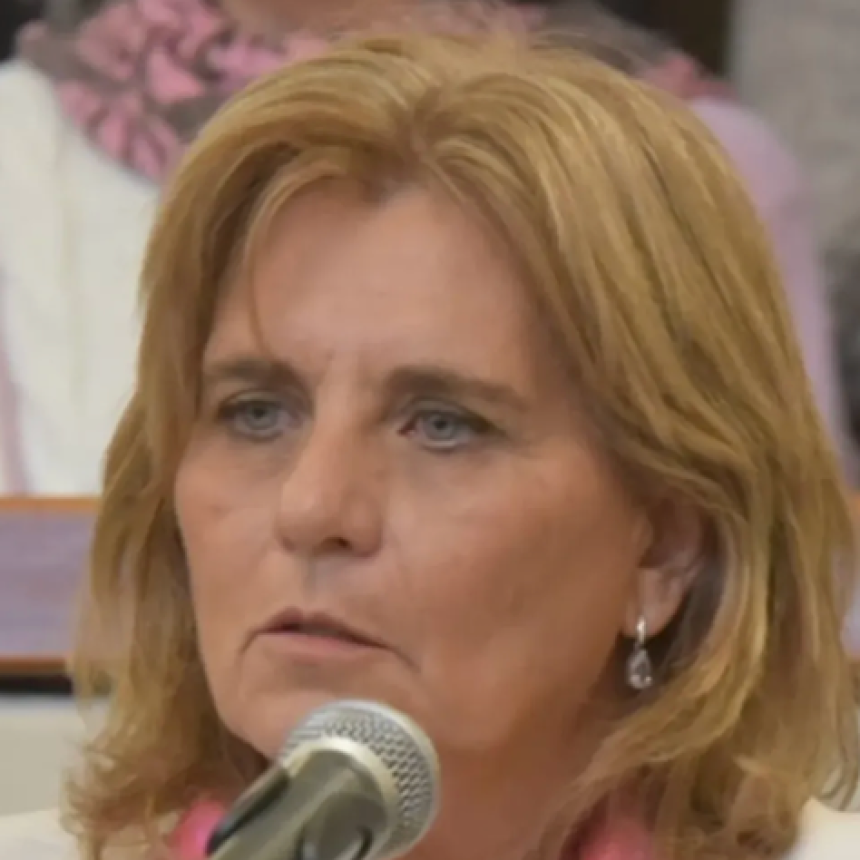 Nuevo proyecto de ley de la Senadora Carlota Carballo.