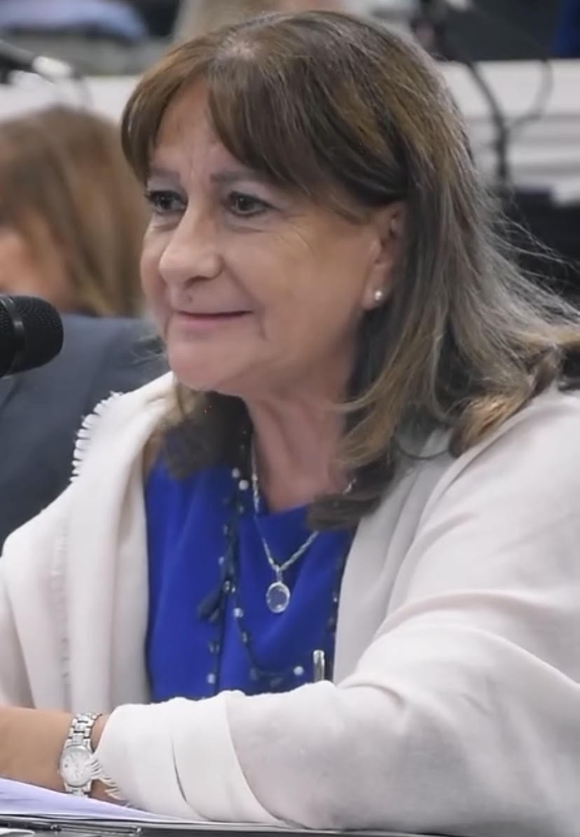 Se sancionaron tres leyes a instancias de la Diputada Adriana Vidal Dom&iacute;nguez. 