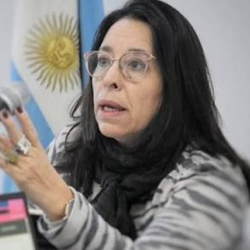 Los peligros de no entender nada. El caso de la diputada del Chaco Anal&iacute;a In&eacute;s Flores.