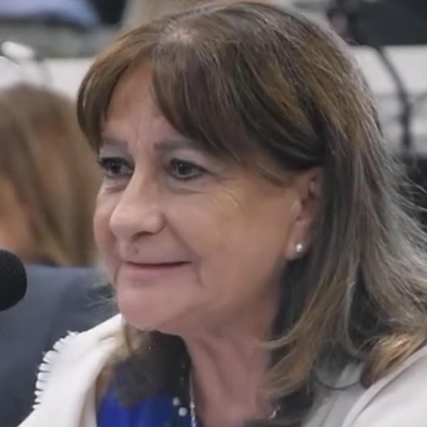 Se sancionaron tres leyes a instancias de la Diputada Adriana Vidal Dom&iacute;nguez. 