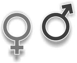 Le sobran “machos” al encuentro plurinacional de mujeres.