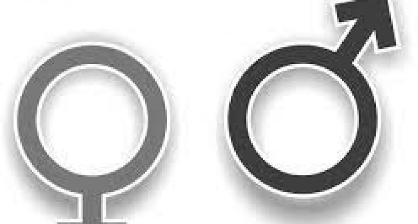 Le sobran “machos” al encuentro plurinacional de mujeres.